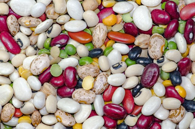 bean-1684304_1280.jpg