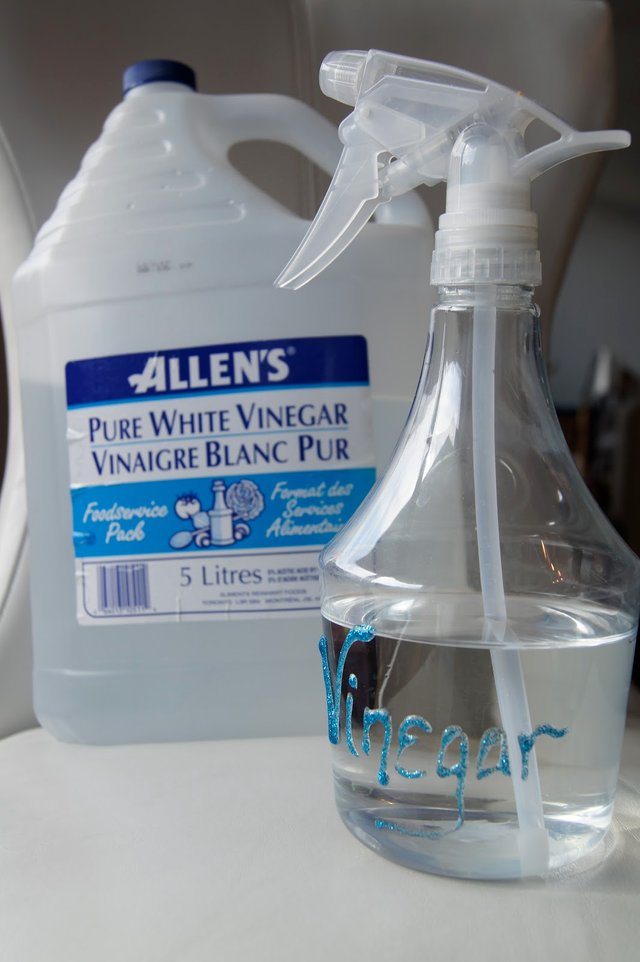 Vinegar spray bottle.jpg