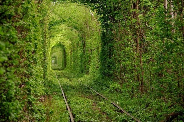 Tunnel-Of-Love-Ukrayna-640x425.jpg