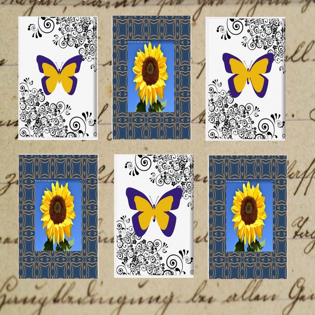 butterfly and sunflower graphic papers.jpg