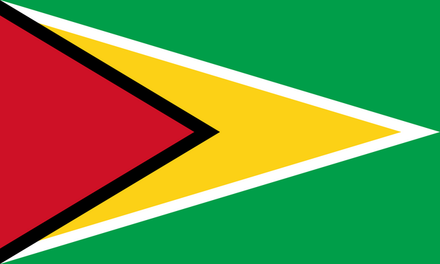 1200px-Flag_of_Guyana.svg.png