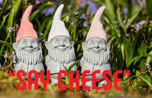 9E4E3E79-405B-4E98-A05D-D49D8BAA7E03.jpeg