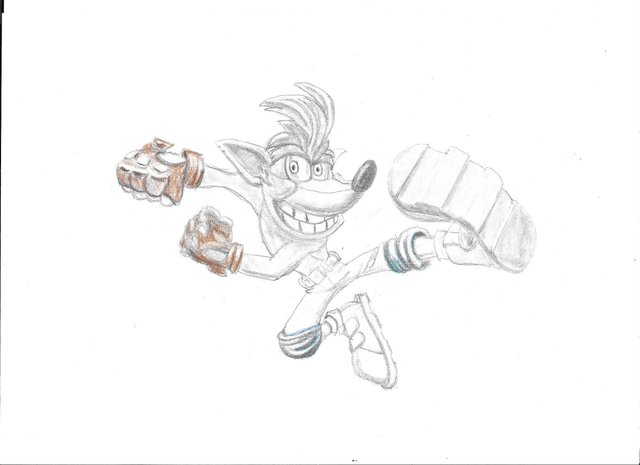 bandicoot4.jpg