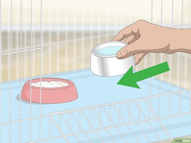 Set-Up-a-Bird-Cage-Step-10.jpg