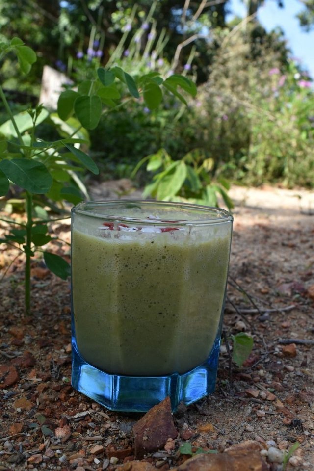 green-smoothie.jpg