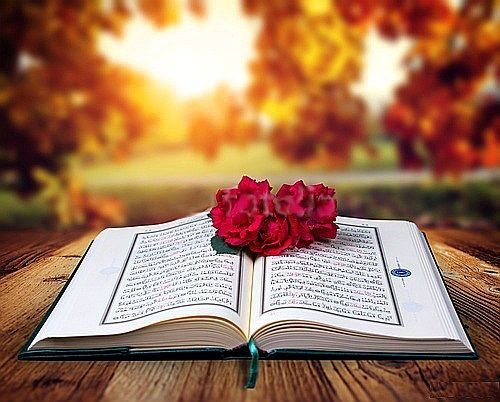 new-quran-1-copy.jpg