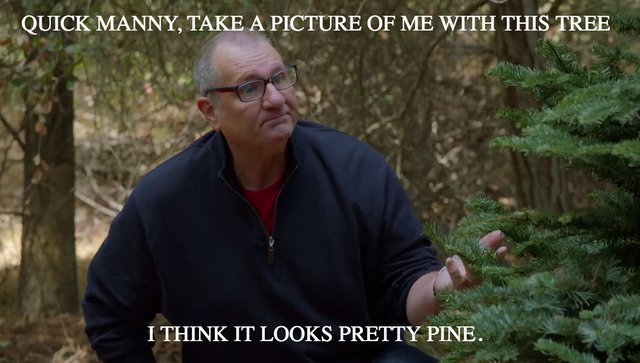 PINE.jpg