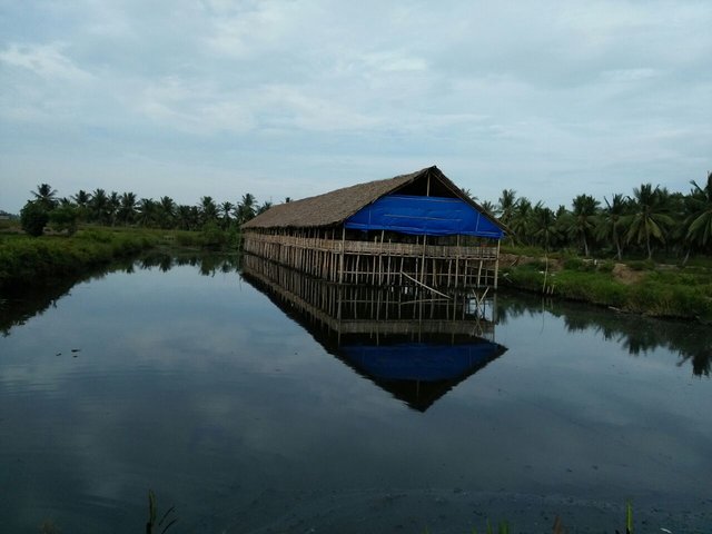 IMG-20170803-WA0009.jpg