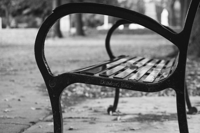 B&W Bench2.jpg