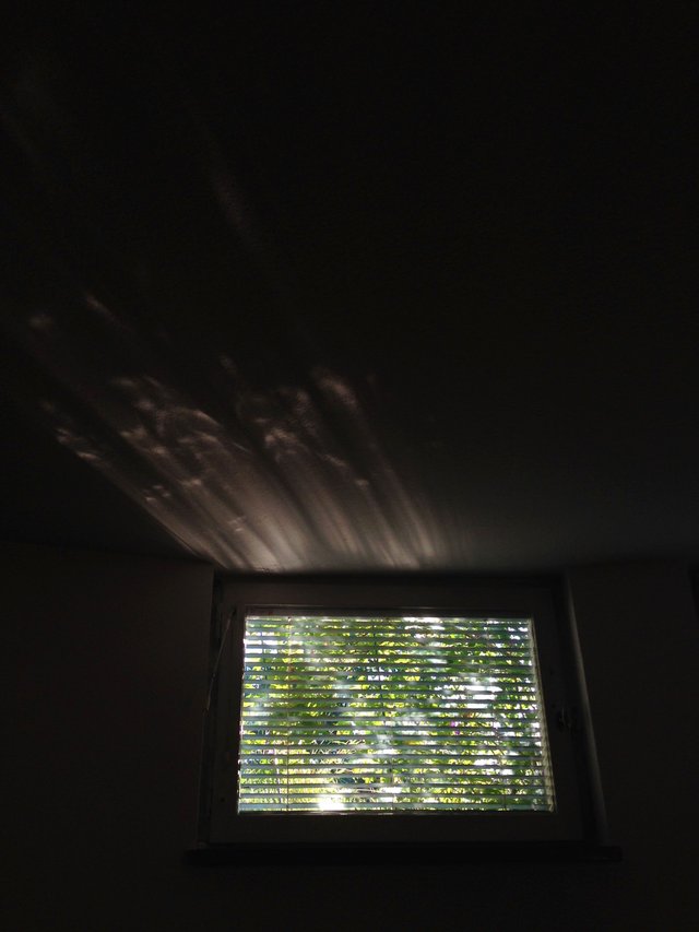 2730.JPG