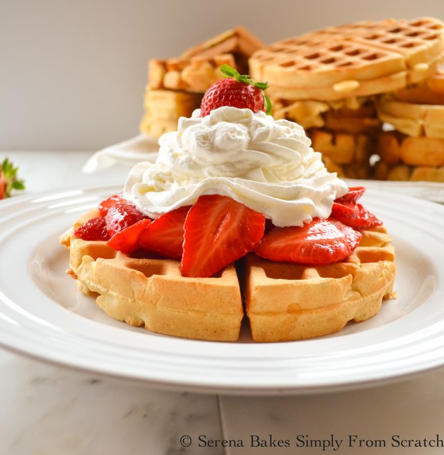 Treasures of Belgium 6 Belgian waffles (Brussels) — Steemit