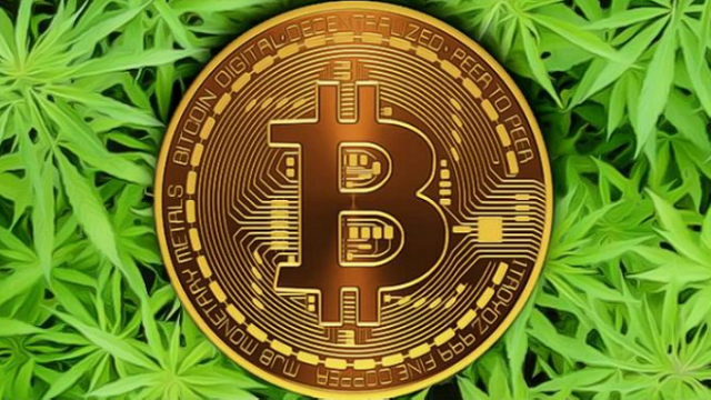 Cannabis-Science-Moves-into-the-World-of-Blockchain-Stock-Increases-15-on-News-678x381.png