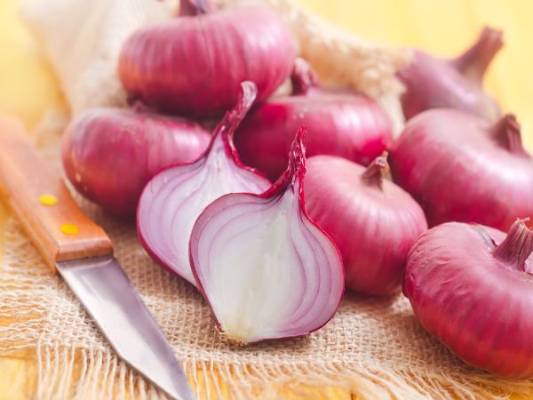 puting garlic on penis Slutty wives sex stories