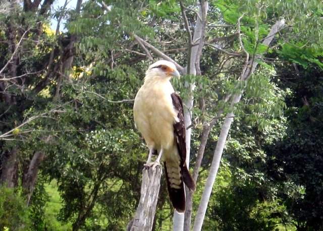 parque cienagas de juan manuel 1.jpg