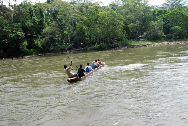 Rep Leuser1.jpg