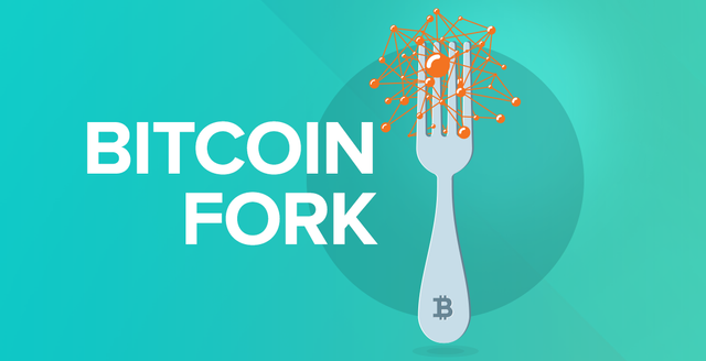 Should i buy bitcoin before the fork banks that use bitcoin