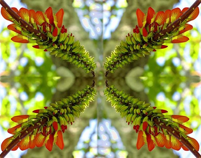 Amerge Flowers025a 5.jpg