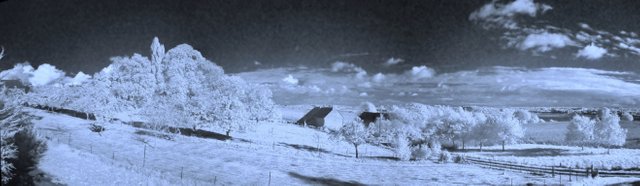 5111201964_d5517282fa_o (FILEminimizer).jpg