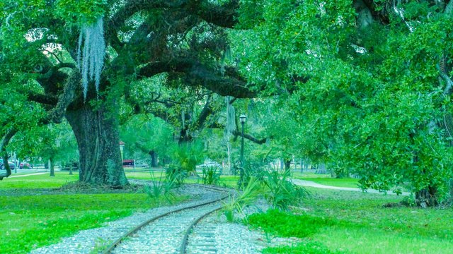 City Park Train Tracks.jpg