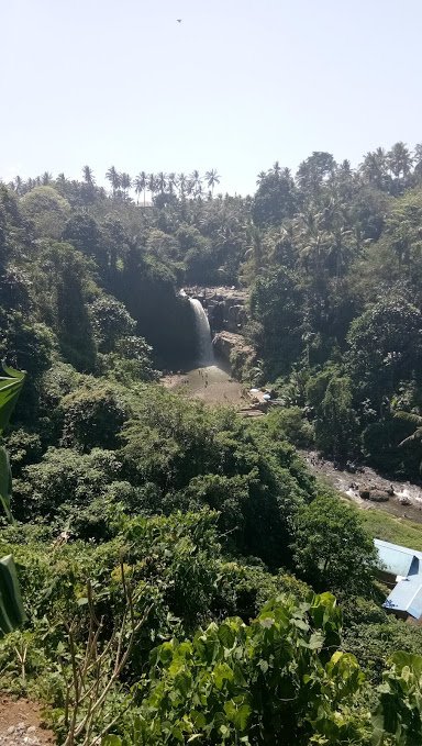 waterfall from above lookout.jpg