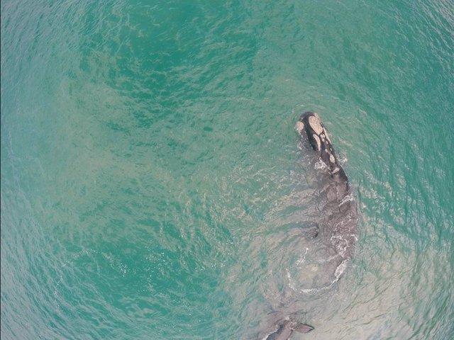 IMG_20171024_221147_208.jpg