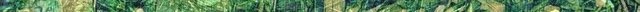 smoothgreentexture-leaves-sticks 2.jpg