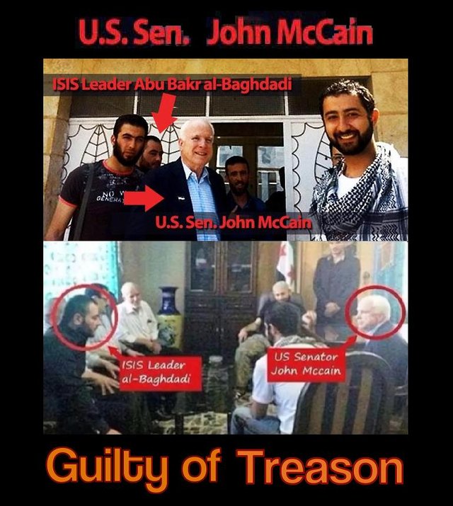 traitor_mccain_by_novuso-d9jcqme.jpg