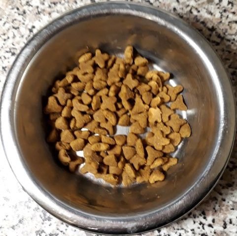 cat kibble.jpg