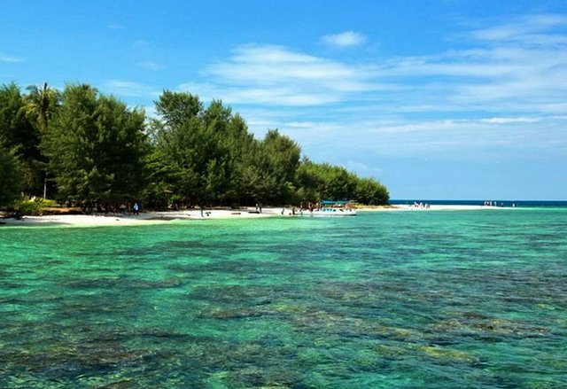 Hutan-Pantai-Kepulauan-Karimunjawa.jpg