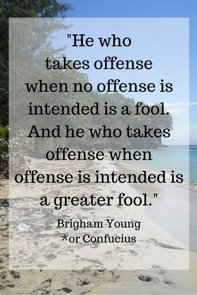 He-who-takes-offense...is-a-fool-Quote-1-683x1024.jpg