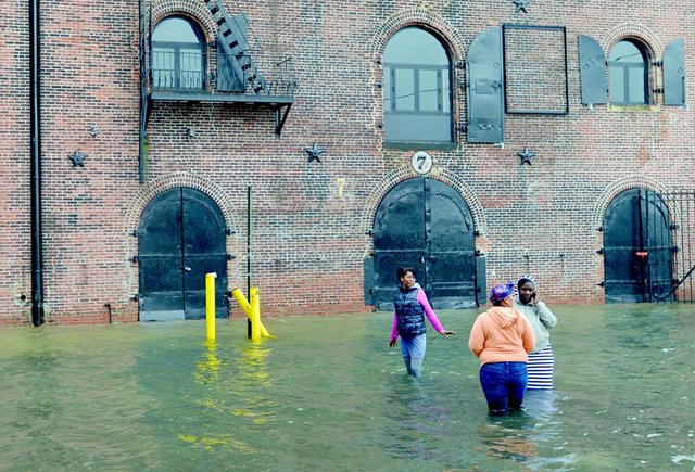 flood-red-hook.jpg