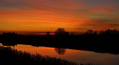 Sunset_tree_reflections_746.jpg