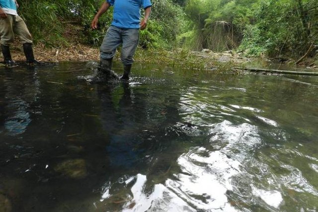 contaminacion_en_el_rio_lato_afecta_a_guatiguara.jpg