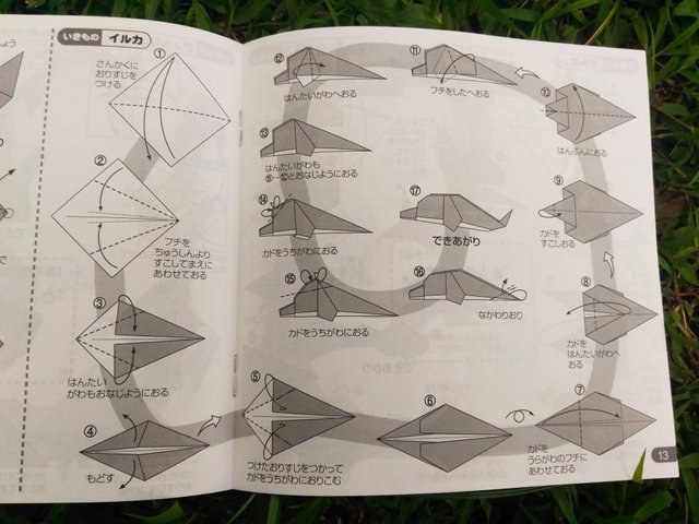 instruction.jpg