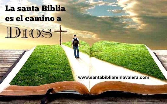 descargar-biblia-pdf-gratis-en-español-mensajes-cristianos.jpg