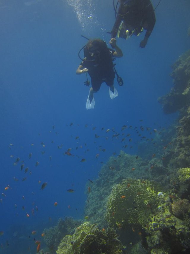 scuba 10.jpg