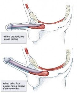 kegels-benefits-251x300.jpg