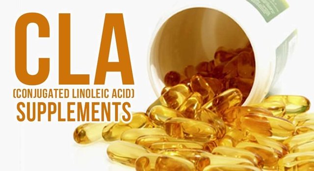 4 cla-supplements.jpg