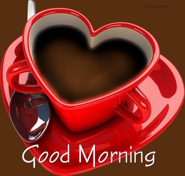 b170e0aad9adbc0977054e5215e69d35--morning-coffee-quotes-good-morning-coffee.jpg