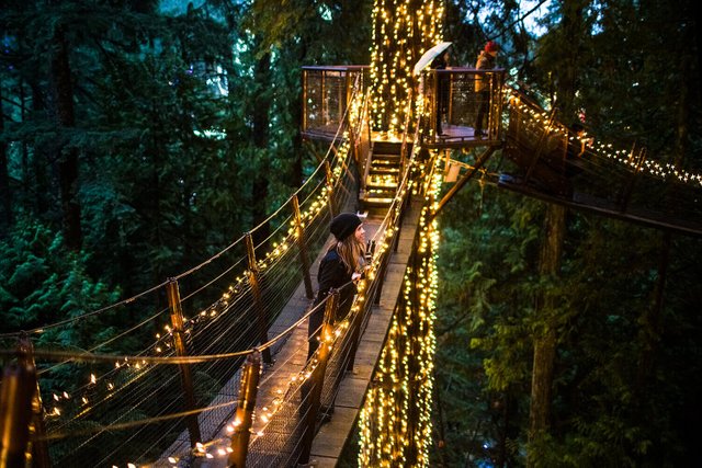 Canyon_Lights_Capilano_Suspension_Bridge_Park_Vancouver_Canada_Featured.jpg