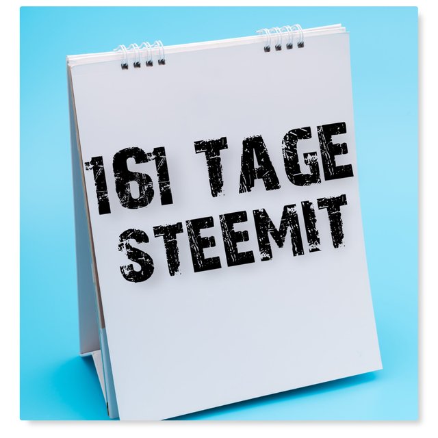 161Tage.jpg