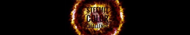steemit color challenge yellow banner.jpg