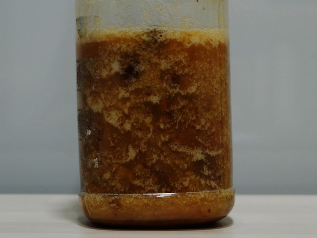 20180130_yeast_water_in_winter_01.jpg
