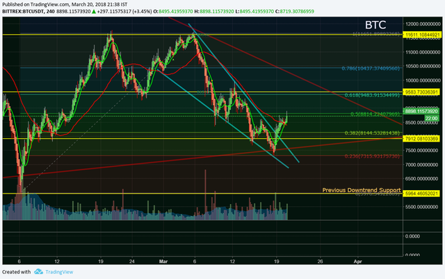 Bitcoin - Bull Run or Bear Trap.png