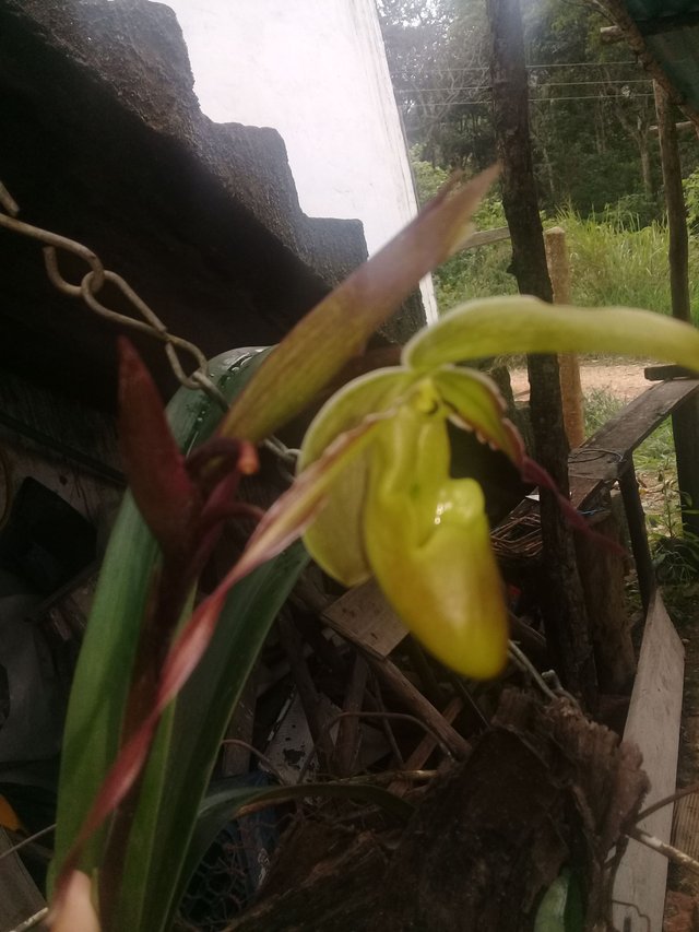 20180421_134759.jpg