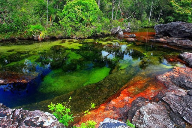 Caño Cristales, Colombia..jpg