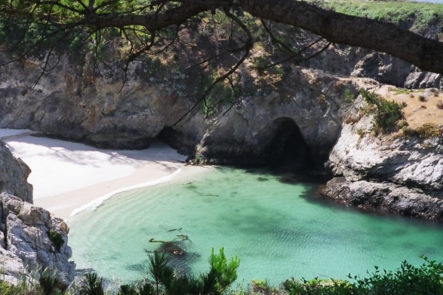 Seal bay Point Lobos CA.jpg