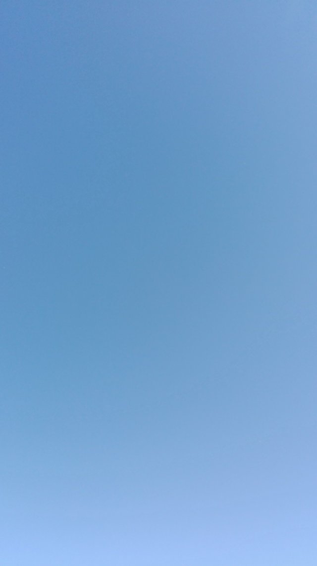 Blue sky.jpg