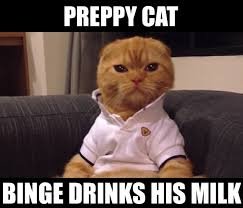 a2e534fe25fb440f7c244acb91e87372--funny-stuff-cat-stuff.jpg