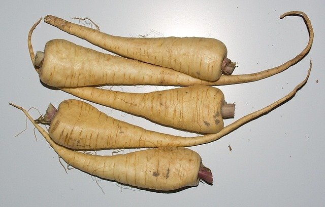 parsnips-74305_640.jpg